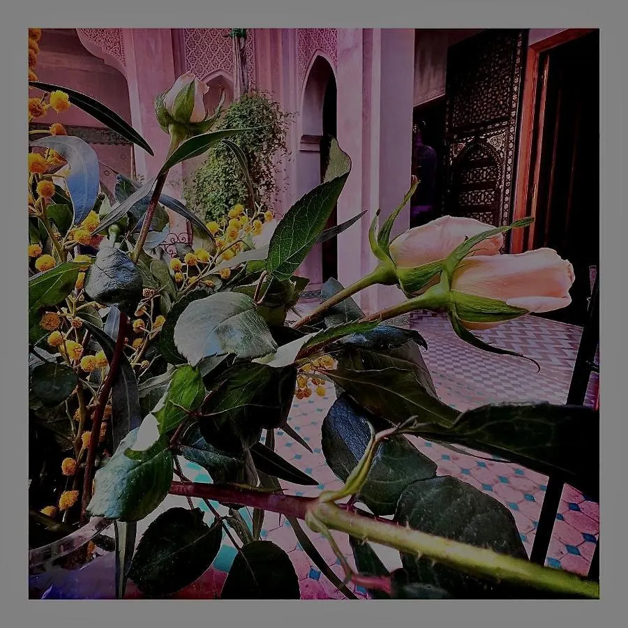 Riad Palais Nejma Oriental Hotel Marrakesh